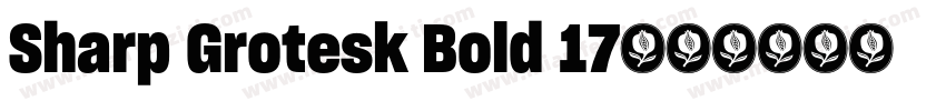 Sharp Grotesk Bold 17字体转换